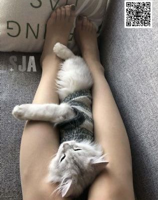久久免费看国产黃色a片麻豆_电影免费国语